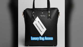 Preloved Louis Vuitton Bag Style & Access