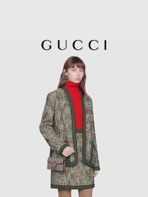 Small GUCCI Dionysus Embellished Branded Ladies Handbag Coated Canvas Suede