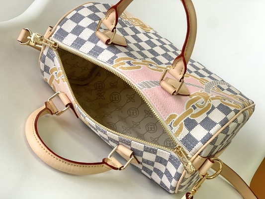 Coated Canvas Speedy Louis Vuitton Damier Azur 25 M46390