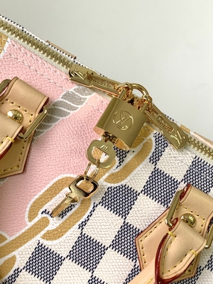 Coated Canvas Speedy Louis Vuitton Damier Azur 25 M46390
