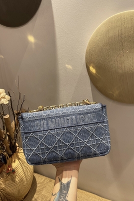 Embroidered Mini Designer Purses Dior Caro Denim Small