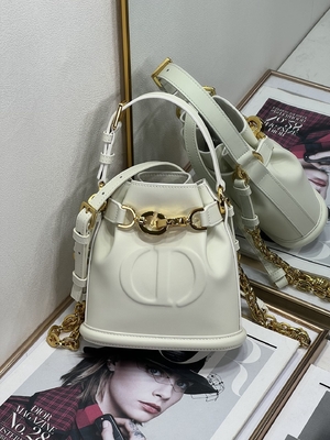 Embossed C'est Dior Bag Gold Saddle CD Christian Dior Sport Bag Calfskin